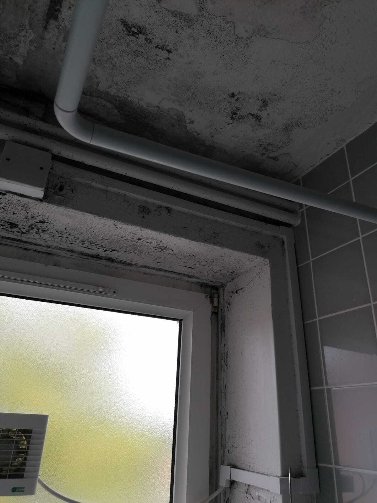 Bathroom (1)