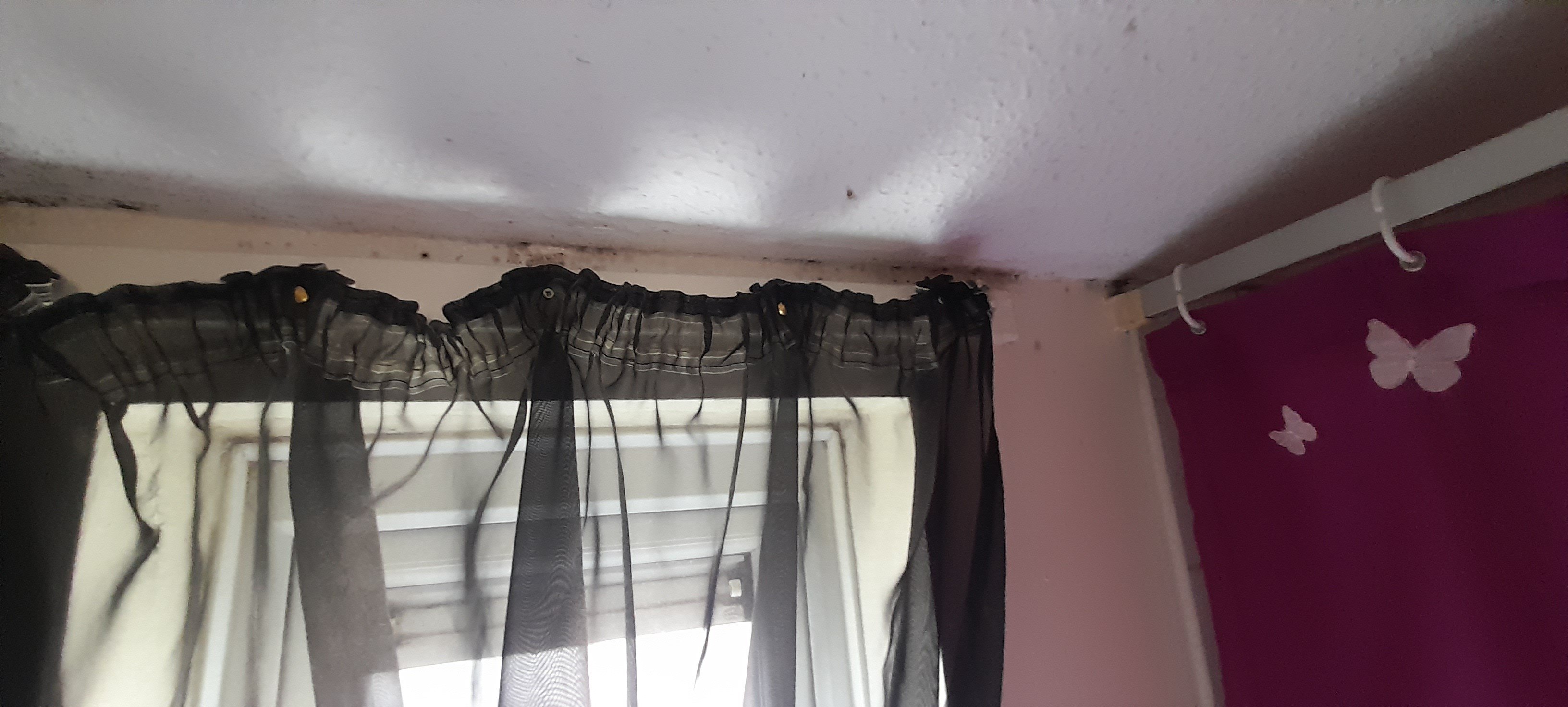 bedroom damp and mould 